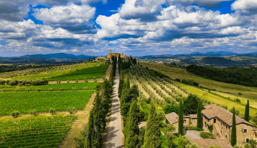 Beautiful vineyard landscape with a castle in La Quinta, California.