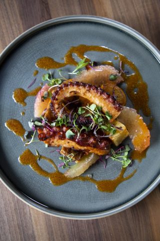 Seafood dish featuring grilled octopus, microgreens, and vibrant sauce presentation.