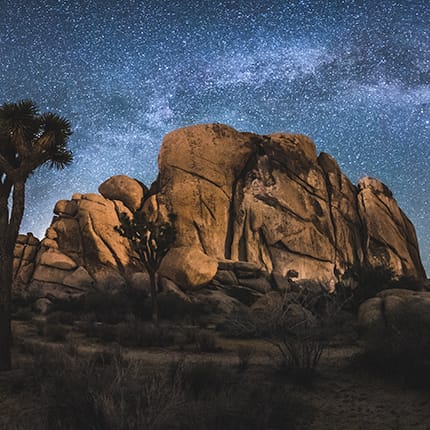 Joshua Tree National Park