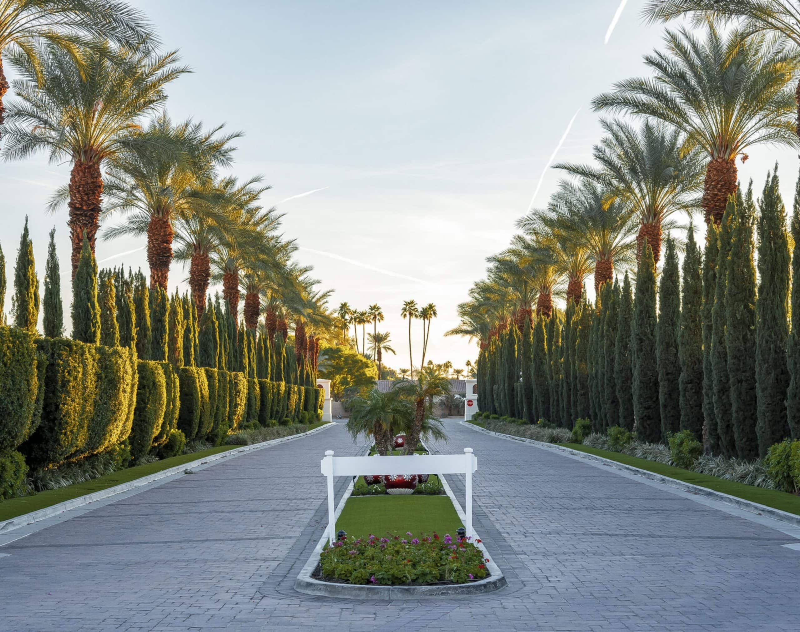 Beautiful palm trees and lush greenery at La Quinta Resort & Club entrance.