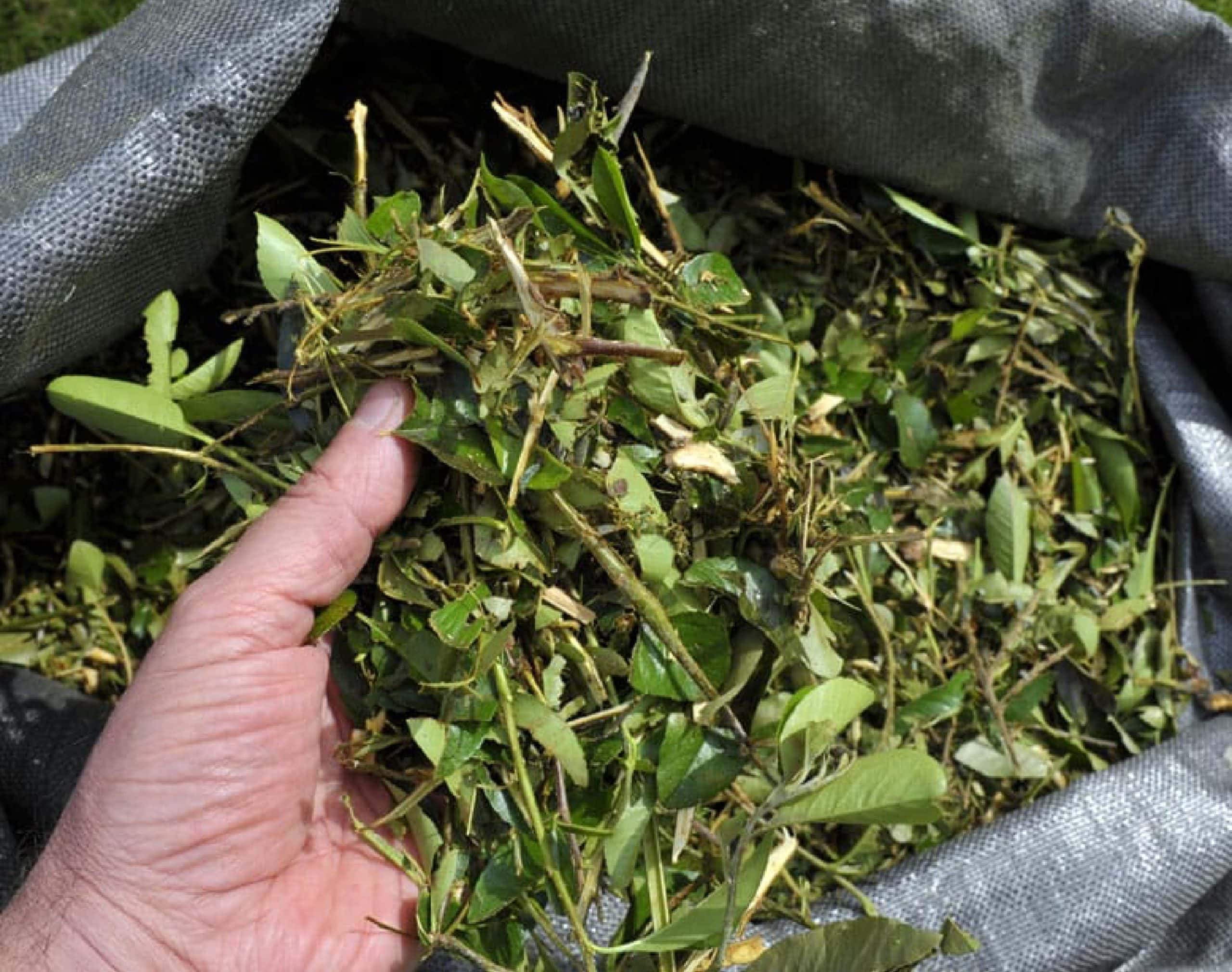 Recycling and Waste Diversion