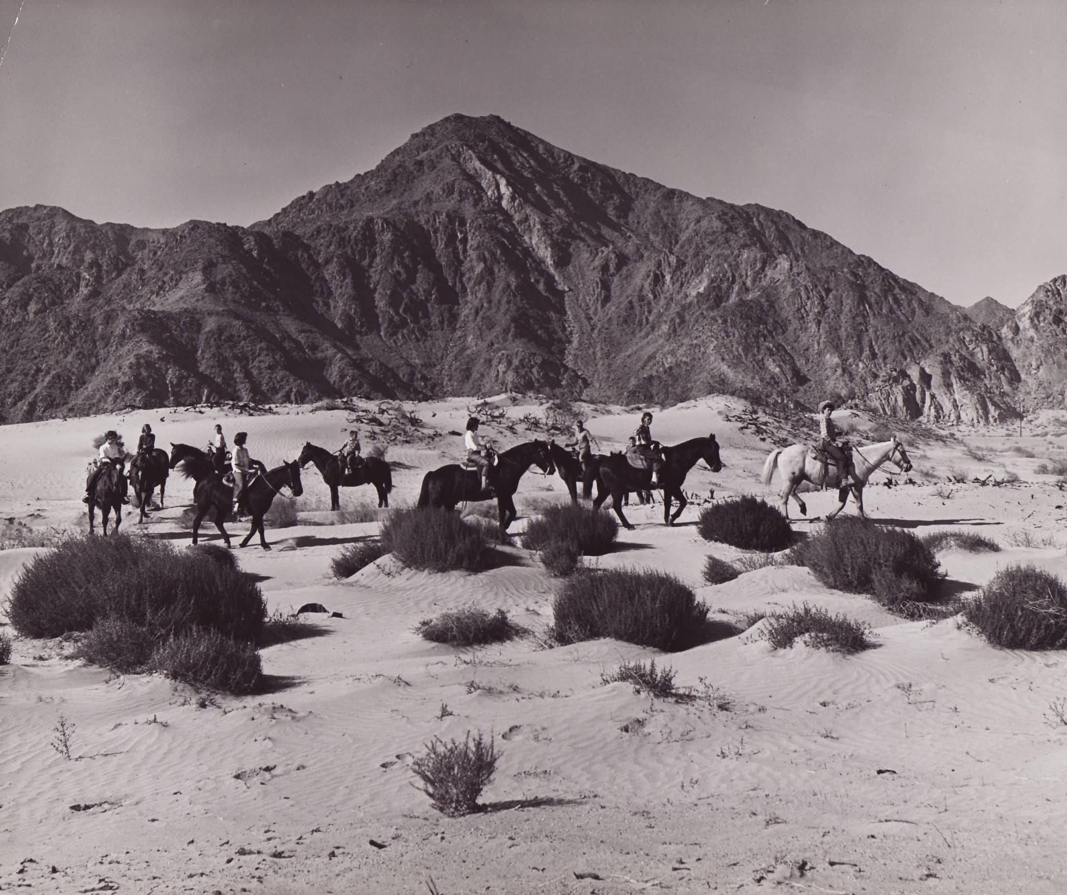 Horses riding in desert landscape near mountains at La Quinta Resort.