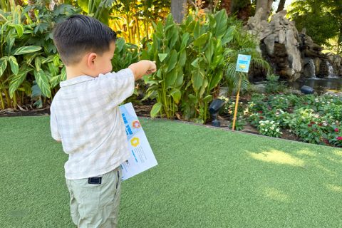 Young boy pointing at garden plants at La Quinta Resort & Club.