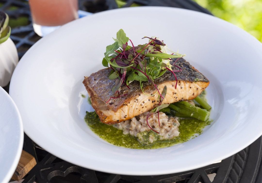 Gourmet salmon dish with greens and sauce at La Quinta Resort & Club.