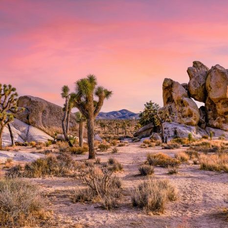 Joshua Tree sunset desert scene with unique rock formations and vibrant sky.