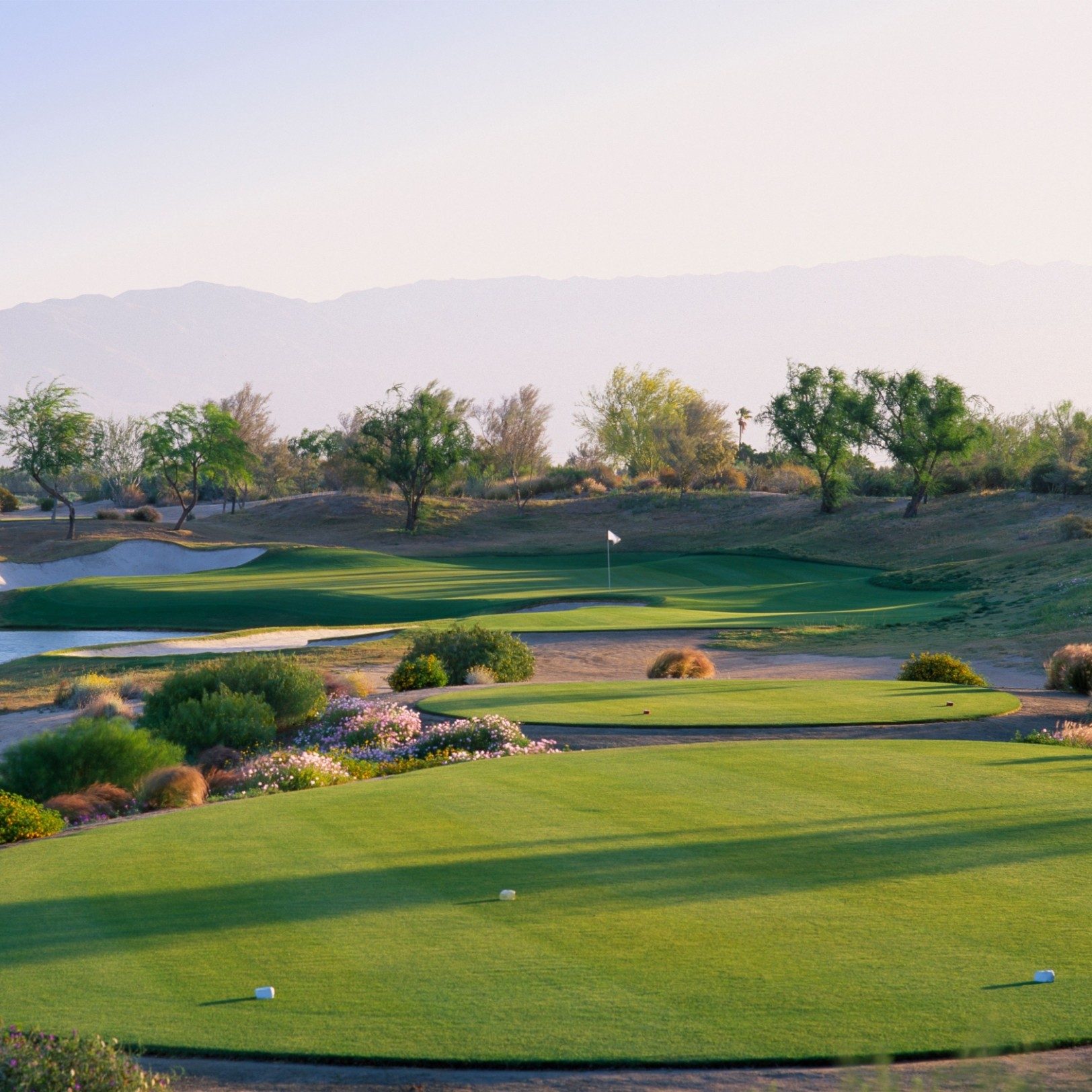 Golf Parent Gallery Photo Main -1